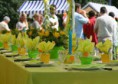 /album/bodas/bodasaire-70-jpg/